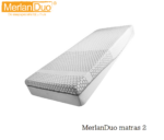 MerlanDuo 2